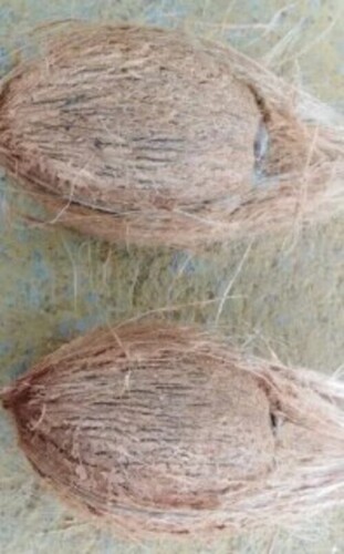 Semi Husked Raw Coconut