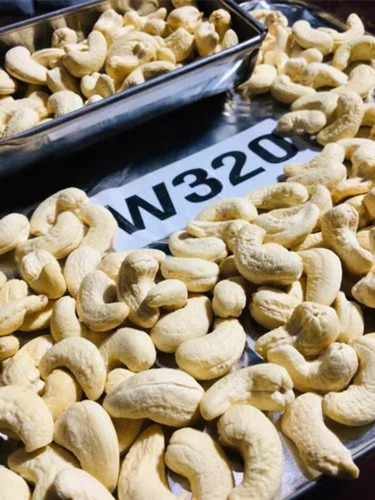 W320 White Cashew Nuts