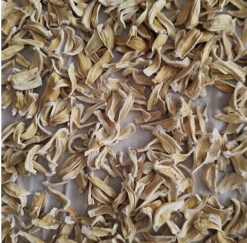 Dehydrated Jackfruit