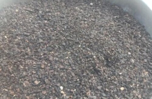 Spicy Black Pepper Powder