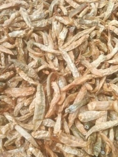 Dehydrated Green Chilli By Prasith Herbal And Agri Products