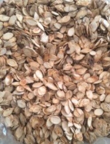 Dehydrated Natural Pumpkin Seed