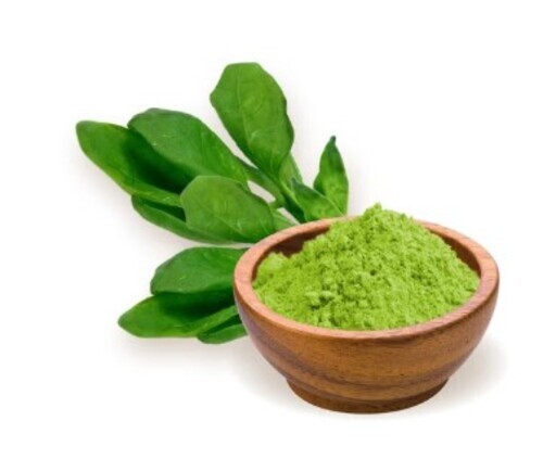 Dehydrated Spinach Leaves Powder