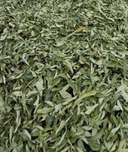 Dried Curry Leaves