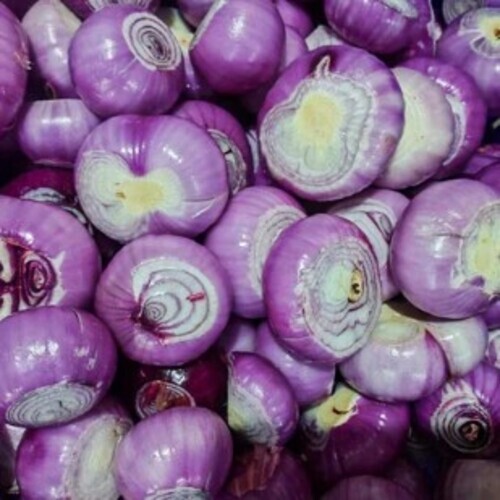 Fresh Peeled Onion