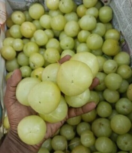 Green Amla By Prasith Herbal And Agri Products