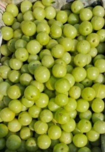Green Fresh Amla