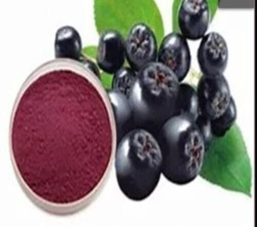 Black Currant Fruit Powder