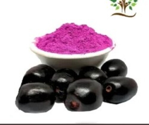 Jamun Extract Powder