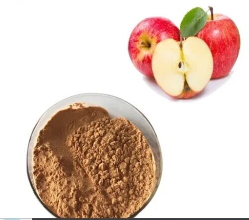 Apple Extract Powder
