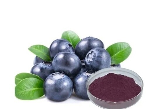 Bilberry Fruit Powder