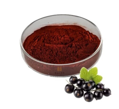 Black Currant Extract Powder