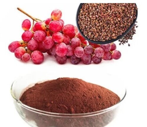 Grape Seed Extract