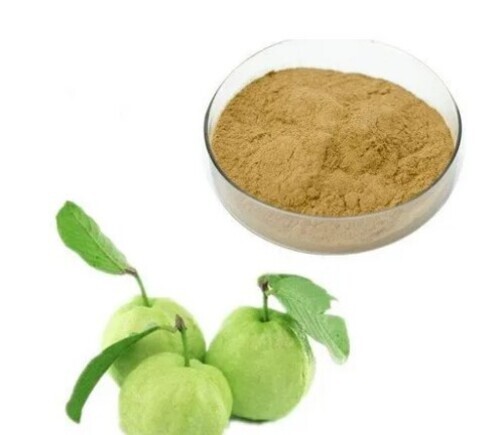 Guava Leaf Extract Powder By Hill Natural Extract Llp