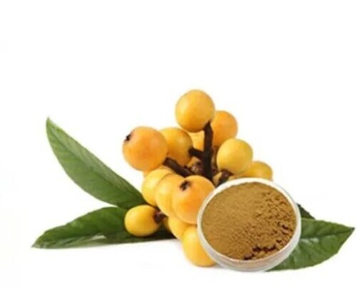 Loquat Extract Powder