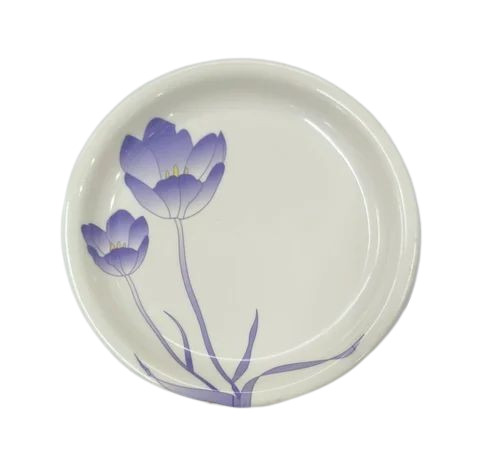 Melamine Designer Dinner Plates