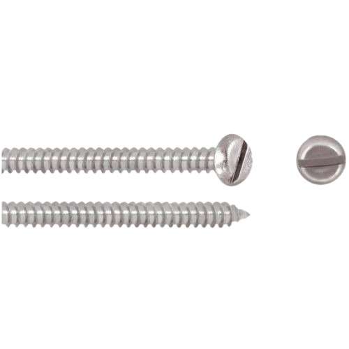 Ss Pan Slotted Self Tapping Screw