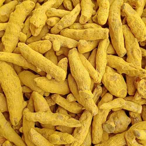Turmeric Finger - Color: Yellow