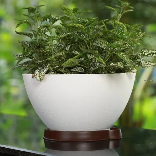 6.4 Inch Coconut Circular Plastic Pot With Tray