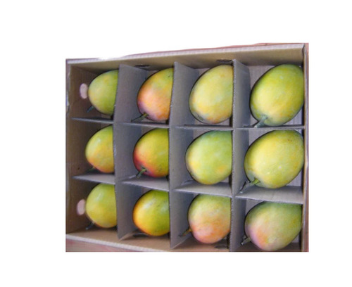 Alphonso Mango