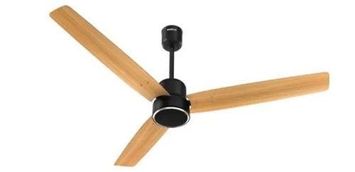 Anchor Turin Maple Gold Ceiling Fan