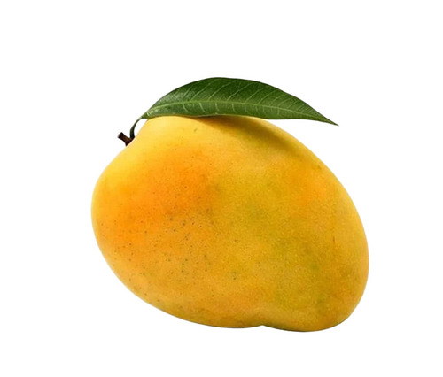 Banganapalli Mango