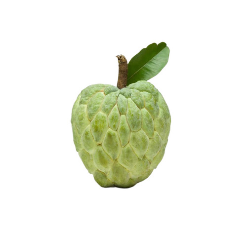 Custard Apple