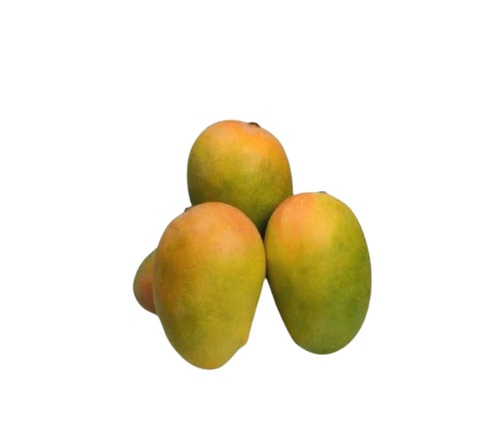 Gir Kesar Mango
