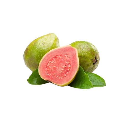 Guava - Color: Greeb