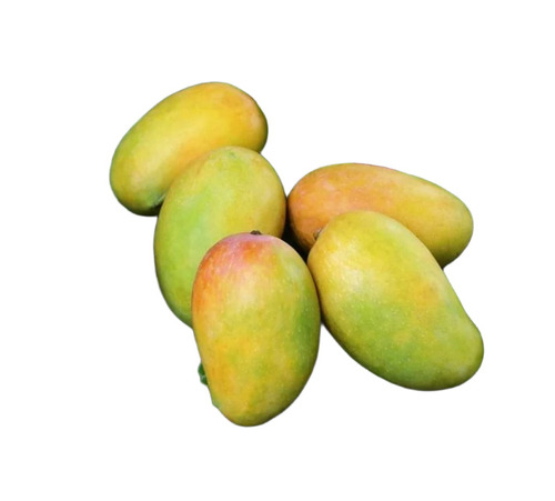 Kesar Mango