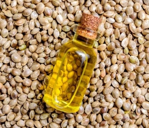 Seed Oil