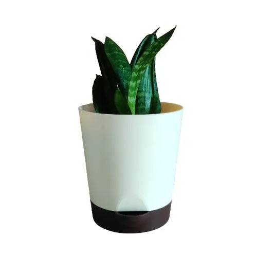 4 Inch Indoor Self Watering Planter