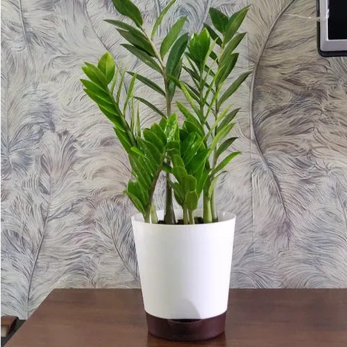5.5 Inch Plastic Self Watering Pots And Planter