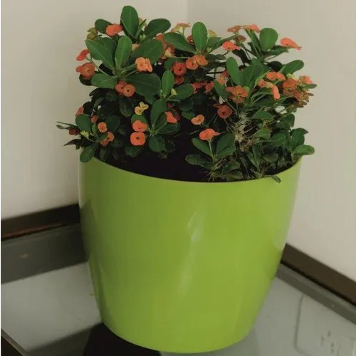 8 Inch Plastic Flower Pot