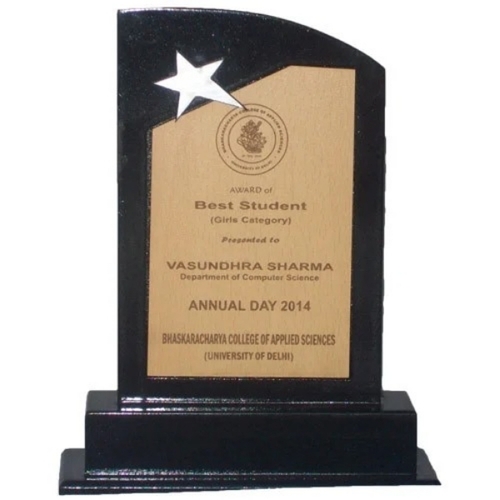 Customized Trophy
