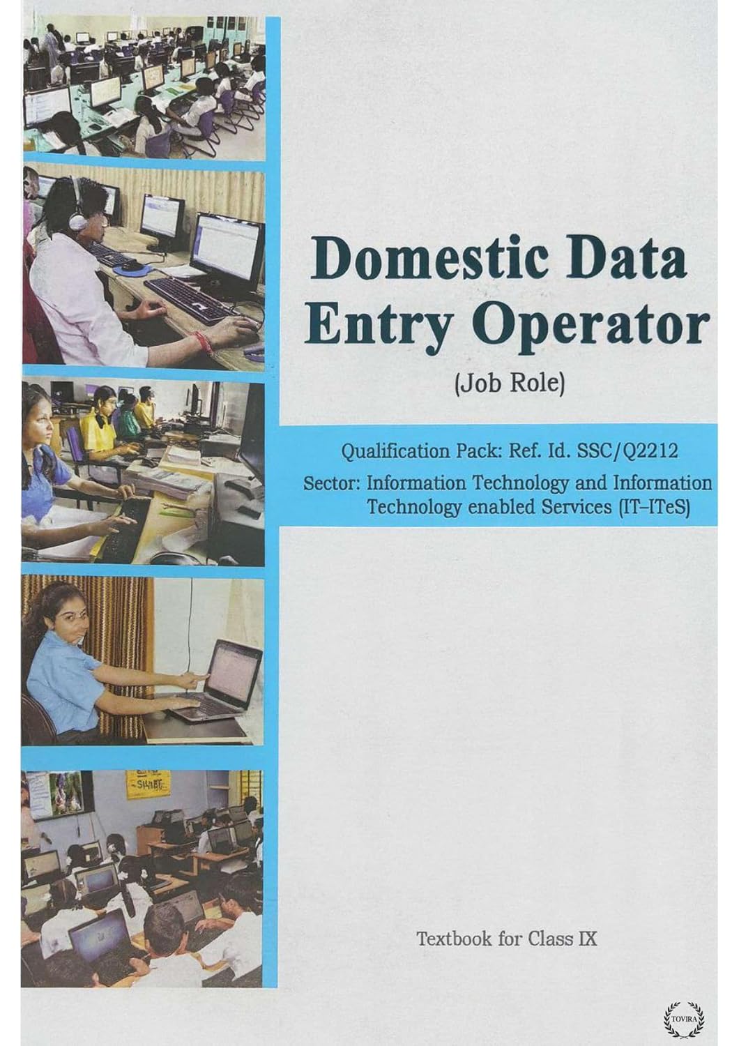 Domestic Data Entry IT Class 9 NCERT Book