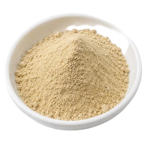Shatavari Extract (20 Percent Saponins)