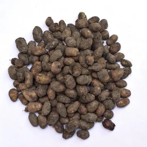 Syzygium Cumini Seed Extract - Color: Brown