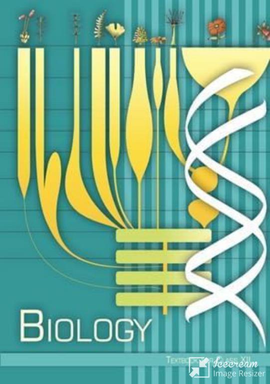 Biology Class 12 NCERT Book - Cardboard Board, A4 Size | Complete Syllabus, Diagrammatic Explanations, Board Exam Focus