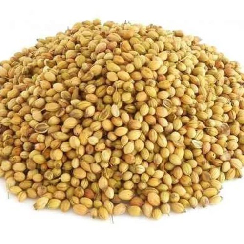 Organic Coriander Seeds