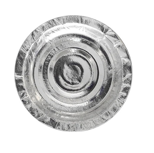 Silver Disposable Plate
