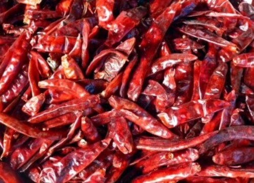 Dry Red Chilli