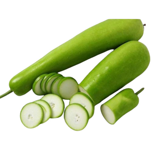 Fresh Bottle Gourd