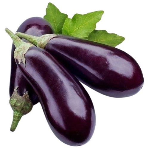 Fresh Brinjal