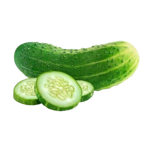 Fresh Cucumber