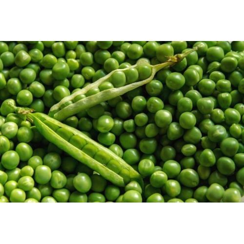 Fresh Green Peas