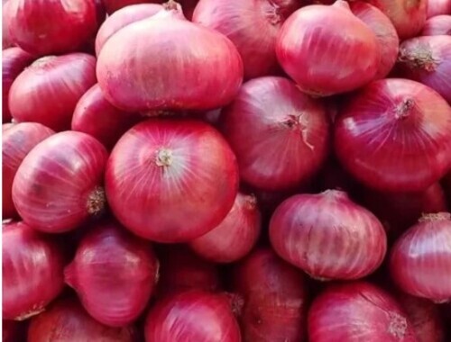 Fresh Red Onion