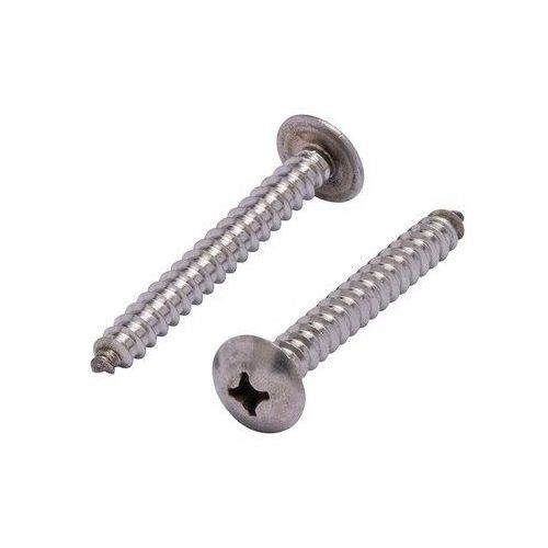 Polished Stainless Steel Screw