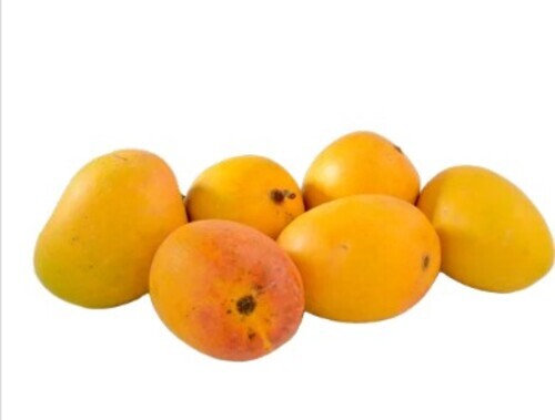 Ratnagiri Alphonso Mangoes