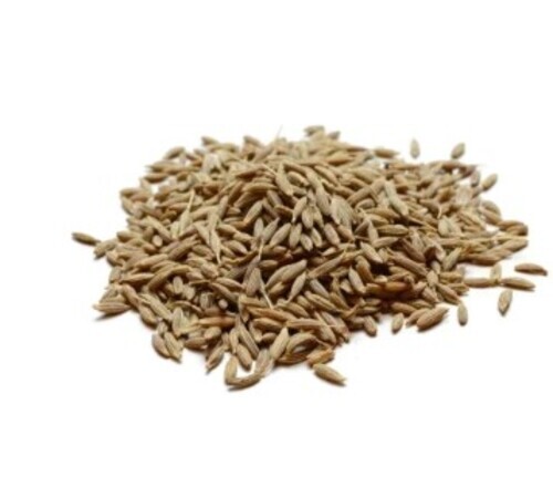 Whole Jeera Seed